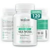 Bloom Health Sea Moss Supplement - Organic Irish Moss for Immune Support - Non-GMO Seamoss Capsules for Thyroid Health - Vegan Raw Seamoss Pills with Organic Bladderwrack Powder - 120 Vegetarian Caps