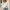 White, variant on Cardigan Women Clearance Fall Cozy Sweater 2024 Soft Cropped V Neck Cardigan Beige M