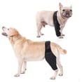 thumbnail image 3 of Pet Dog Knee Brace For Acl Knee Cap Dislocation Arthritis Keeps The Joint Warm Extra SupportXS, 3 of 5