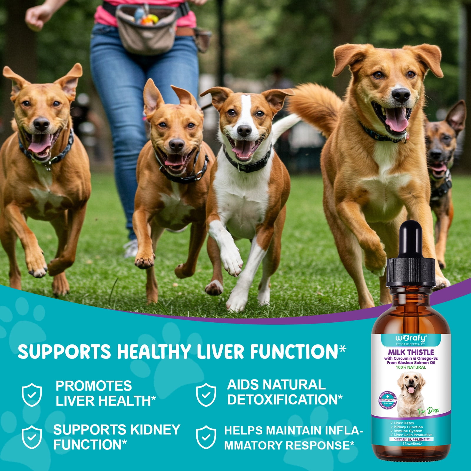 Petpya Milk Thistle for Dogs 3PC Organic Liver Support, Detox & Kidney with Antioxidants & Silymarins, Boost Immunity 60ML