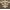 Chocolate/Natural, variant on SAFAVIEH Courtyard Dara Damask Indoor/Outdoor Area Rug, Sand/Black, 7'10" x 7'10" Square