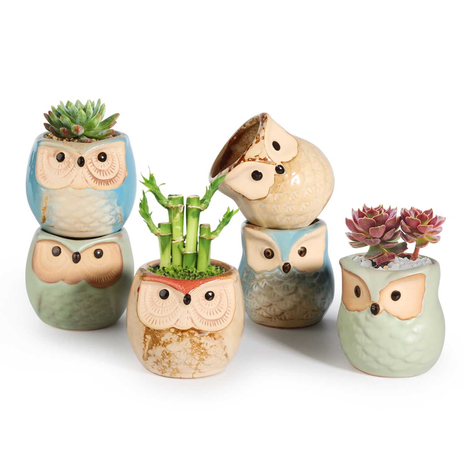 T4U 2.5 inch Owl Ceramic Succulent Planter Pots with Drainage Holes for Home and Office Decoration, Set of 6
