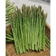 Seed Kingdom Mary Washington Asparagus Seeds – Heirloom Vegetable, Bulk 1 Lb