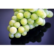 Summer Frozen Fruit Fresh Organic Healthy Grapes-20 Inch By 30 Inch Laminated Poster With Bright Colors And Vivid Imagery-Fits Perfectly In Many Attractive Frames
