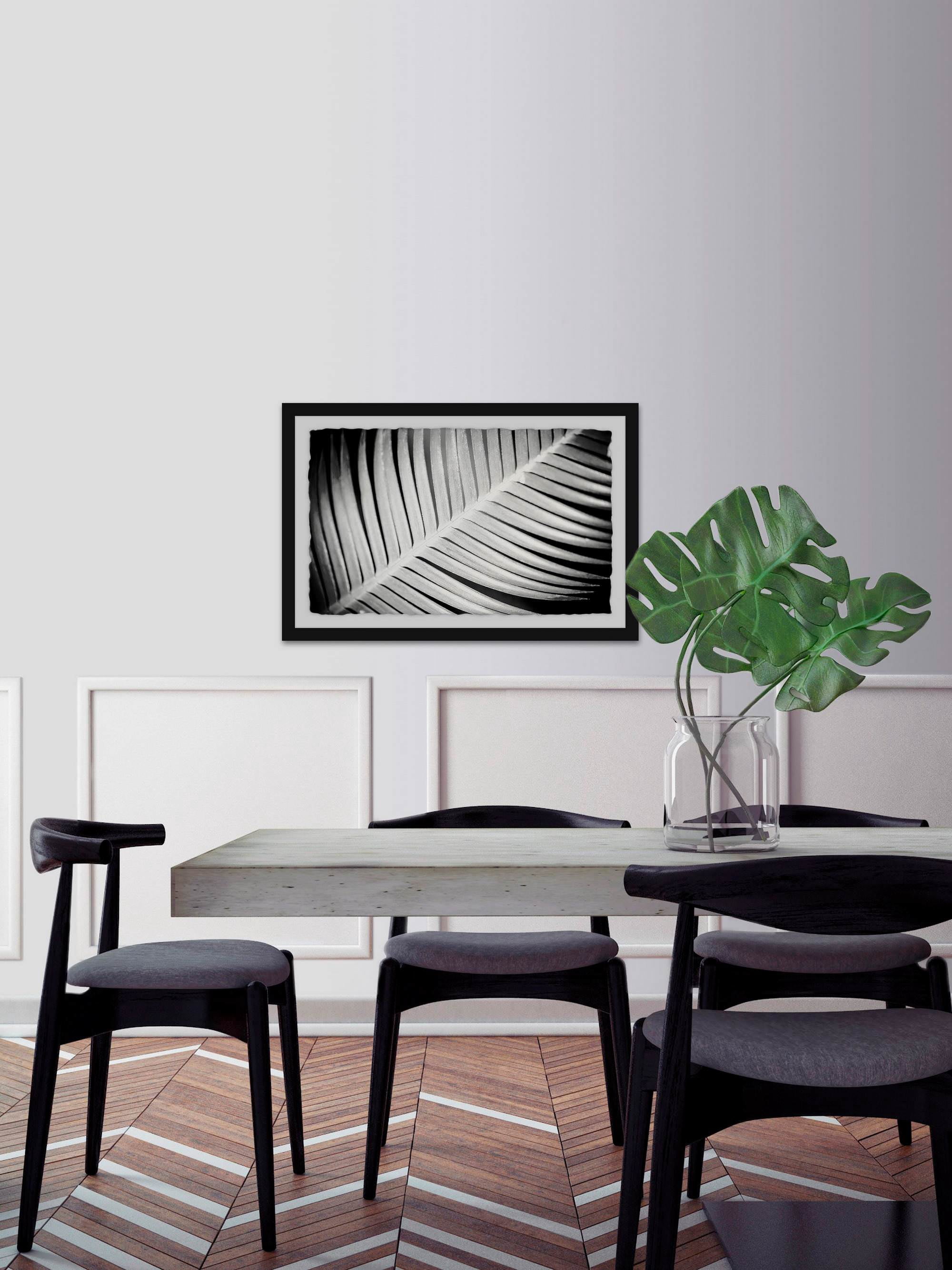 Palm Frond II Framed Painting Print