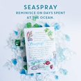 thumbnail image 2 of WILLOWBROOK Fresh Scents Scented Sachets - Seaspray, 2 of 5