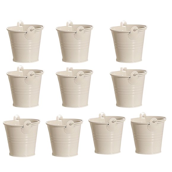 Hearth & Gear Mini Seau en Métal pour Rangement à la Maison, Artisanat et Jardinage (10 Pcs) Suspension Pot de Fleurs Grande Fleur pour Pot de Fleurs Intérieur en Silicone pour Béton Grand Animal Fleur Pot de Fleurs Intérieur en Métal