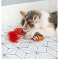 thumbnail image 4 of Quirky Kitty Ramen Cataire Peluche Lot de 2 Jouet pour Chat, 4 of 10