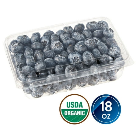 Fresh Organic Blueberries, 18 oz Container