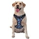 thumbnail image 1 of Fotbe Skull flower tie dye Arnés para Perro con Estampado –Chaleco Ajustable Acolchado con Asa de Control para Perros Grandes-X-Large, 1 of 6