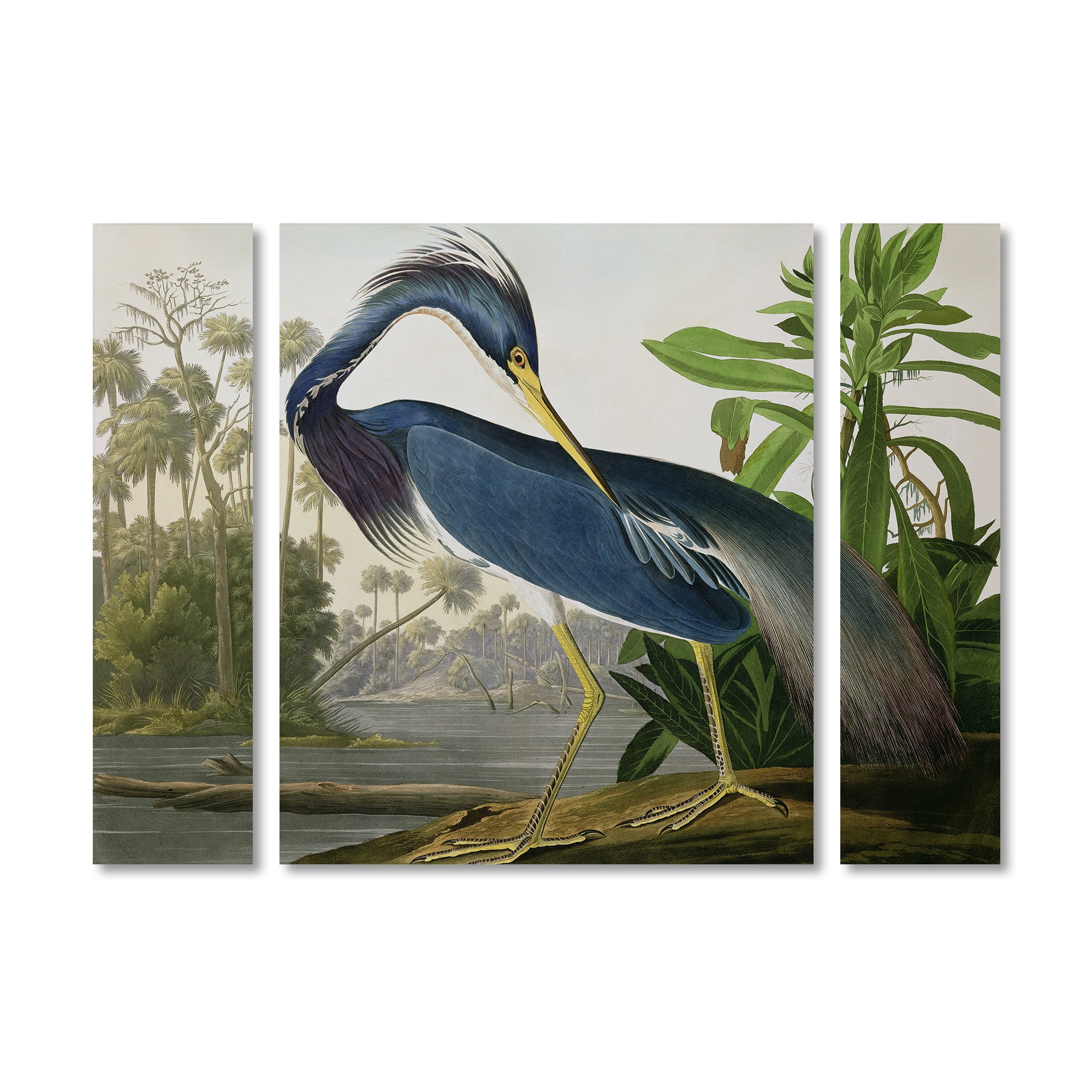 Trademark Fine Art "Louisiana Heron" Canvas Art by John James Audubon Three Panel Set