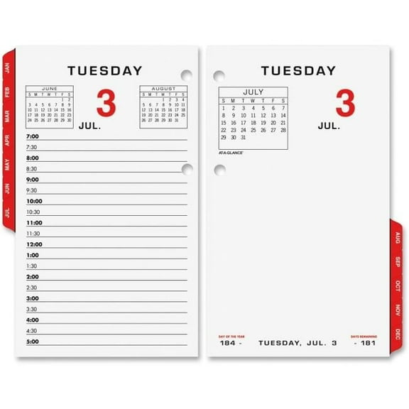 At A Glance AAGE01750 17 Style Daily Desk Calendar Refill