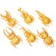 thumbnail image 5 of Modelo de insecto escarabajo de simulación, accesorios para trucos de Halloween, juguete de insecto de PVC no tóxico (dorado), 6 uds., 5 of 8
