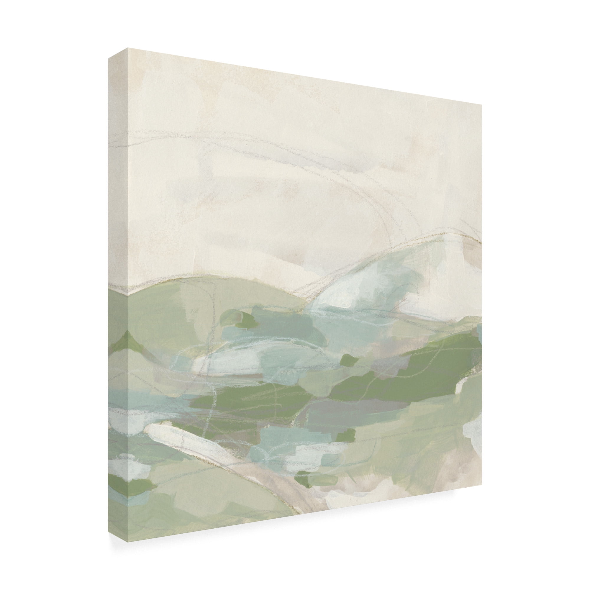 Trademark Fine Art 'Moss Vale I' Canvas Art by June Erica Vess