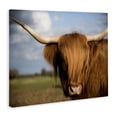 thumbnail image 2 of Stupell Industries Traditional Cow in Pasture Animal Landscape Photo Canvas Art, 48 x 36, by Villager Jim, 2 of 7