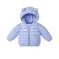 thumbnail image 4 of Esaierr Boys Girls Winter Coats down Outerwear for Kids Toddler 9M-5Y Cute Warm Cotton Coats down Baby Lightweight Winter down Jacket with Hoodie, 4 of 6