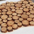 thumbnail image 4 of 100 Pcs Tranches de Piment Naturel Rond Disque Écorce d'Arbre -- Croustilles Circ C5I3 D5H8, 4 of 8