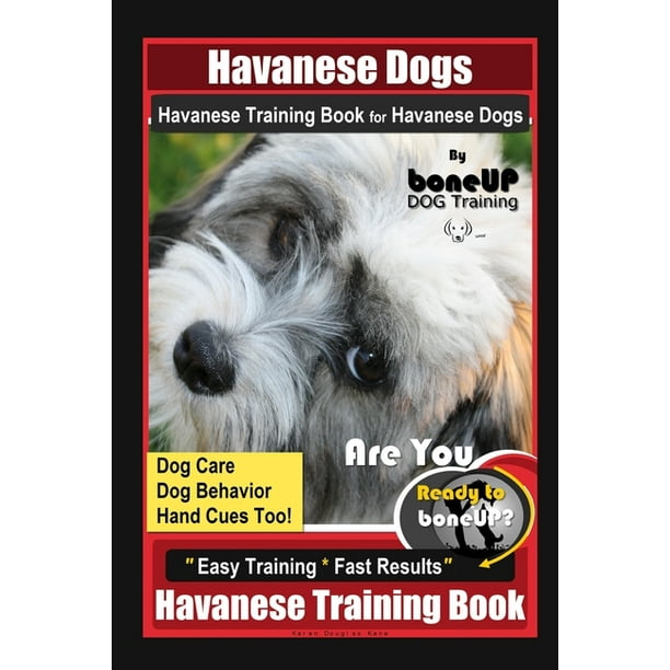 are havanese easy to train