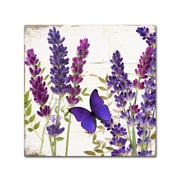 Trademark Fine Art "Lavender I" Canvas Art by Color Bakery