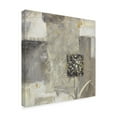 thumbnail image 2 of Trademark Fine Art 'Shades of Gray II' Canvas Art by Lisa Audit, 2 of 3