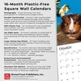 thumbnail image 6 of Guinea Pigs | 2026 12x24" (Hanging) Wall Calendar | Plastic-Free | BrownTrout, 6 of 9
