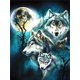 thumbnail image 1 of 30x40 cm 5D DIY Pintura de Diamante Completa, Pintura de Diamante de Lobo Claro de Luna, Lienzo de Diamantes de Imitación de Bricolaje Pintura de Punto de Cruz por Número para Decoración de Pared Adul, 1 of 5