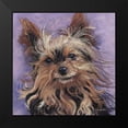 thumbnail image 2 of Golubski, Becky 12x12 Black Modern Framed Museum Art Print Titled - Teacup Yorkie, 2 of 5