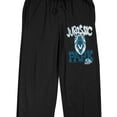 thumbnail image 6 of Jurassic Park T-rex Men's Black Sleep Pajama Pants-Medium, 6 of 7