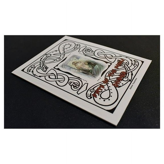 Fate of the Norns Diviner Role Playing Game