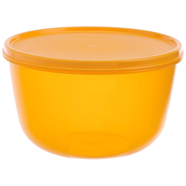 Tupperware SS Modular Pot et Contenant de Rangement Alimentaire en Plastique Hermétique (Lot de 2)
