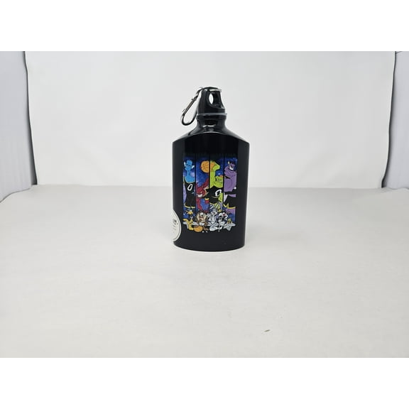 Space Jam 19oz Aluminum Water Bottle