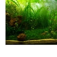thumbnail image 4 of Fondo de acuario Pntas Póster Adorno de papel tapiz de 122x46cm Sunnimix  Vinilo decorativo pecera, 4 of 8