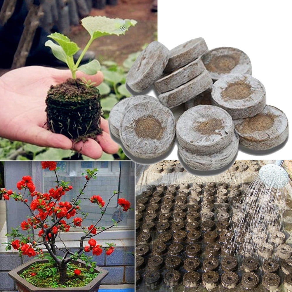 Details about   US Peat Pellets Plant Grow Soil Block Seedling Plugs Garden Premium 100% Organic 