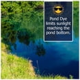thumbnail image 5 of Natural Waterscapes Reflective Black Pond Dye Packets- 24 Water Soluble Packets for Use In Lake and Pond, 5 of 6