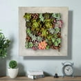 thumbnail image 5 of Modern Home Living Wall Galvanized Steel/Zinc Succulent Planter (Aged Zinc, 16 Pocket), 5 of 7