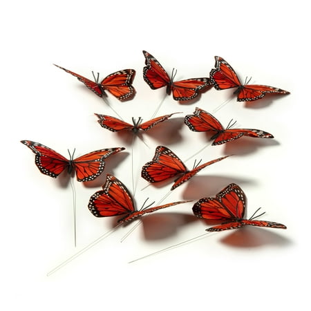 UPC: 0886946561450 | Assorted 8.6 Monarch Butterfly Pack by Ashland®