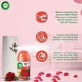 thumbnail image 3 of Air Wick Freshmatic Refill Automatic Spray, Morning Rose Dew - 6 ct, Fresh Spring Scent, Essential Oils, Air Freshener, Odor Neutralization, 3 of 5