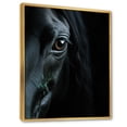 thumbnail image 2 of Designart "Mysterious Shadows Black Horse wall art" Animals Floater Framed Canvas Print, 2 of 7