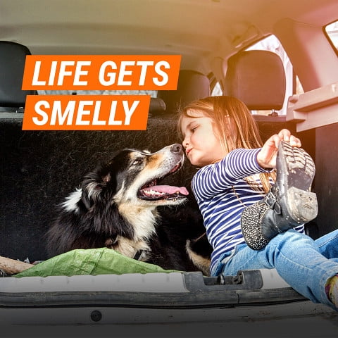 Armor All Interior Car Cleaning Kit for Pet Messes, 4-Piece Bundle