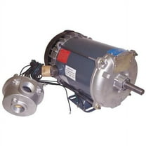 Leeson Motor,3/4 HP,1725 rpm,56,230/460V 056T17G15551