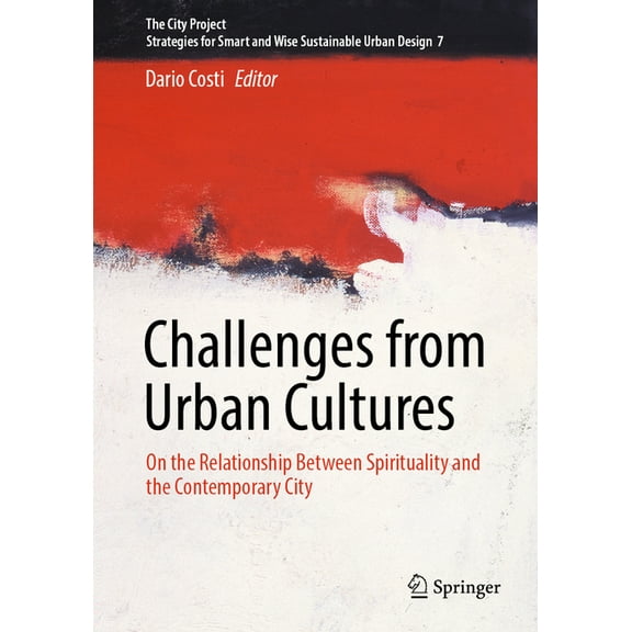 The City Project Challenges from Urban Cultures: On the Relationship Between Spirituality and the Contemporary City, Book 7, (Hardcover)