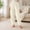 New-White, variant on PNTUTB Women's Fleece Warm Pants Solid Color Heart Embossed Elastic Waist Cuffed Pajama Pants Casual Loose Comfort Fall Winter Lounge Pants