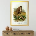 thumbnail image 3 of Designart 'Ancient Bird Life IX' Traditional Framed Art Print, 3 of 4