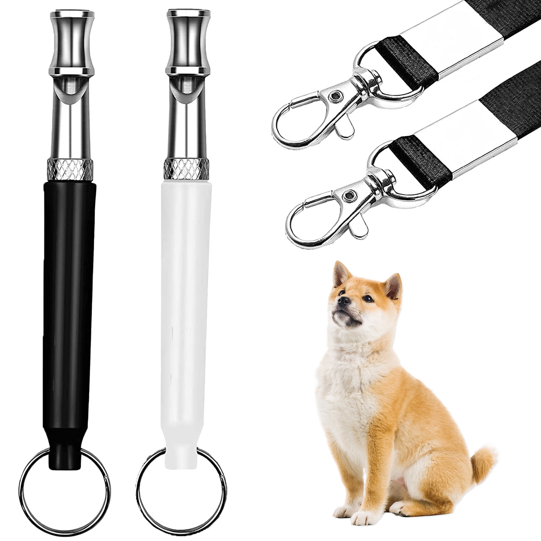 Why Do Dogs Come When You Whistle