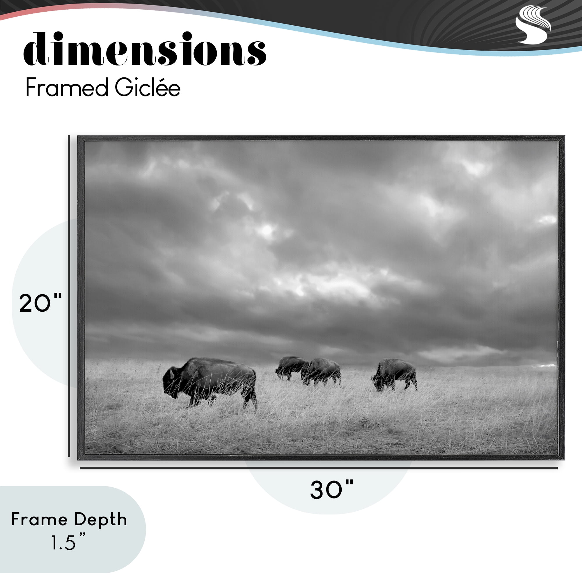 Stupell Industries Bisons Under an Autumn Sky Black Framed Giclee Art, design by Steve Toole