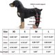 thumbnail image 5 of par de ortesis para patas traseras de perro, ideal para curar heridas en las patas, prevenir lesiones articulares y esguinces. Vendaje para articulaciones de perros., 5 of 5