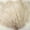 Beige, variant on ZUCKER 25pc Large Ostrich Feather Wedding Decorations - 17" Centerpiece Home Decor (Silver - Gray)