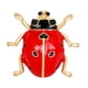 thumbnail image 4 of Paquete de 2 broches esmaltados de mariquita rojo 2 piezas Yuyangstore, 4 of 8