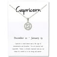 thumbnail image 3 of Giorgio Bergamo Stainless Steel White Gold Plated Zodiac, Astrology, Horoscope, Constellation Cubic Zirconia Amulet Disc Pendant Mens Womens Necklace, Free Micro Fiber Cloth, Capricorn, Silver, 3 of 7