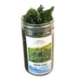 thumbnail image 5 of Grass Tufts Terrain Model Miniature Modeling Miniature Grass Tuft for 1:35 green, 5 of 8